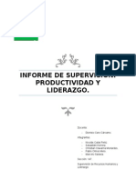 Informe de Supervision