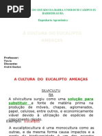 Pontos Negativos de Plantar Eucalipto