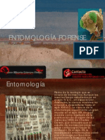 Entomologia Forense JGCM