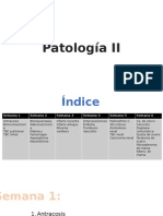 Patología