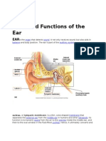 Parts and Functions of The Ear