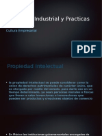 Propiedad Industrial y Practicas Desleales