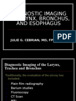 Diagnostic Imaging of Larynx, Bronchus, and