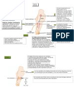 Regulacion de La Respiracion Arterial