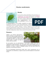 Plantas Medicinales