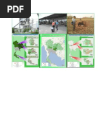 Biomass Database Potential in Thailand