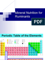 Mineral Nutrition Ruminant