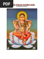 Sri Chakra Navavarana Pooja Guide | PDF