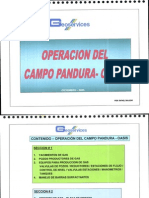 Operaciones de Campo Pandura-Oasis