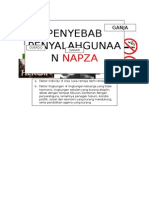 NAPZA