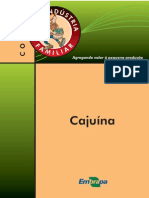 Elaboração de Cajuina