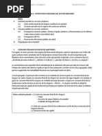 Estructura Funcional Del Sector Sanitario en Andalucía