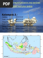 Download Geostruk Migas Natuna Basin by DihanFauzan SN284065841 doc pdf