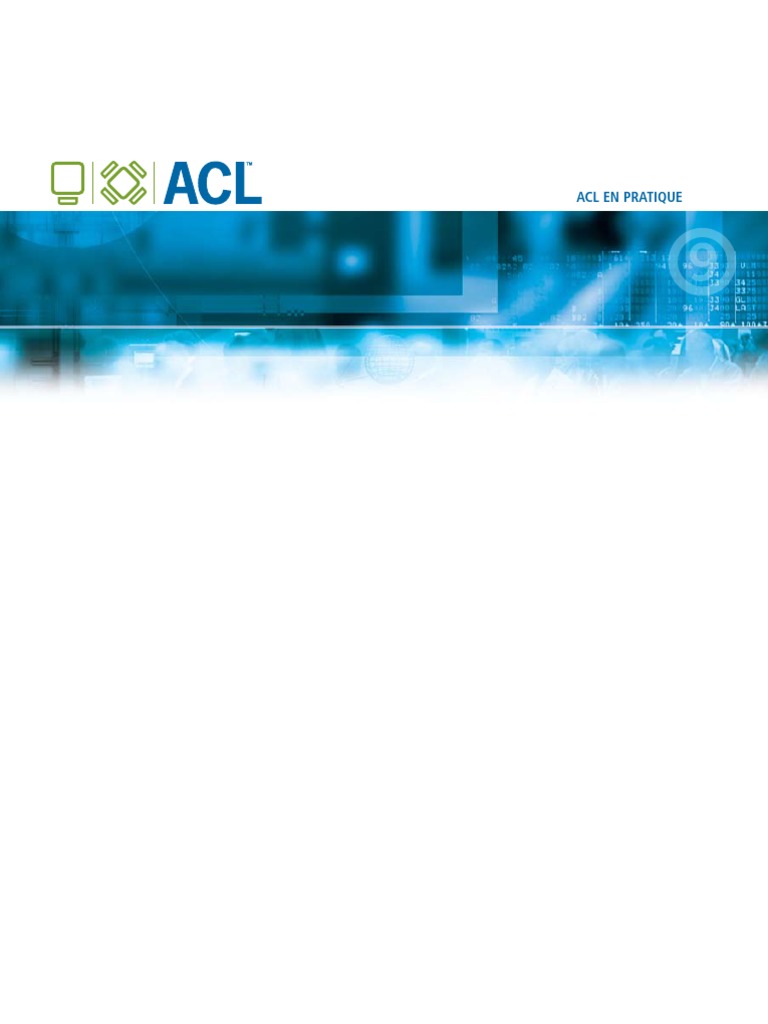 ACL in Practice | PDF | Fichier informatique | Microsoft Excel