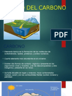 El Ciclo Del Carbono