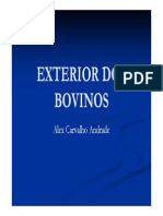 Exterior dos bovinos