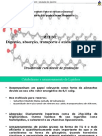 Aula Digestão Absorção Transporte e Oxidação Dos Lipídeos