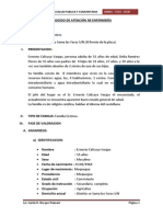 PROCESO DE ATENCIÓN DE ENFERMERÍA Luida PDF