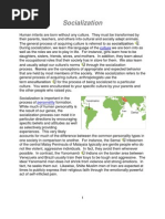Download Process of Socialization 8 by lp3893 SN28408198 doc pdf
