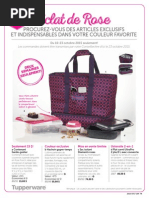 Download Wk42 43 Consumer French by Tupperware US CA SN284084950 doc pdf