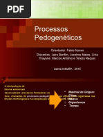 Processos Pedogenéticos