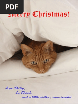 Christmas letter 2011