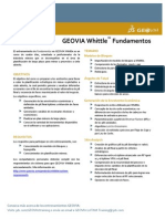 Whittle Fundamentos Ficha GEOVIA