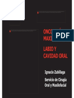 Lesiones Premalignas PDF