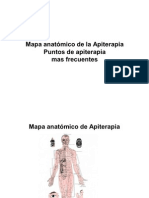 49618216-Mapa-anatomico-de-la-Apiterapia.pdf