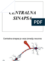 Centralna Sinapsa