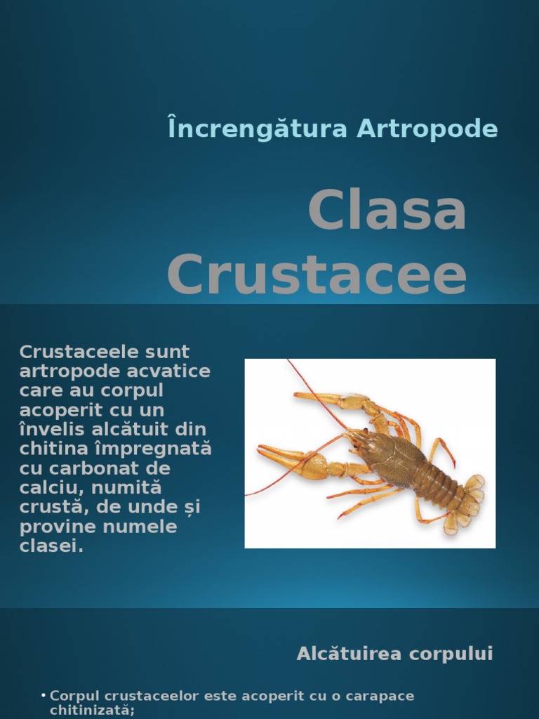 Clasa Crustacee | PDF