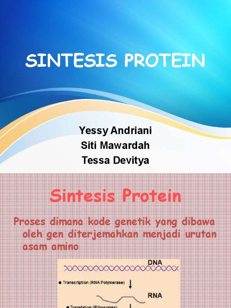 Proses Sintesis Protein dan DNA | PDF | Teknologi & Rekayasa