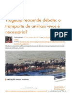 Tragédia Reacende Debate:o Transporte de Animais Vivos É Necessário - World Animal Protection Brasil