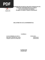 Sintese Do Isobutileno