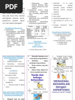 Download Leaflet Kehamilan Dengan Hipertensi by cariusly SN284120209 doc pdf