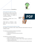 20 Luxación Recidivante de Rótula PDF