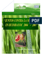 pptHuimbayoc.pdf