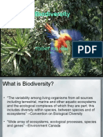 Biodiversity Final