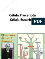 Clase 2 - Célula Procariota y Eucatiota