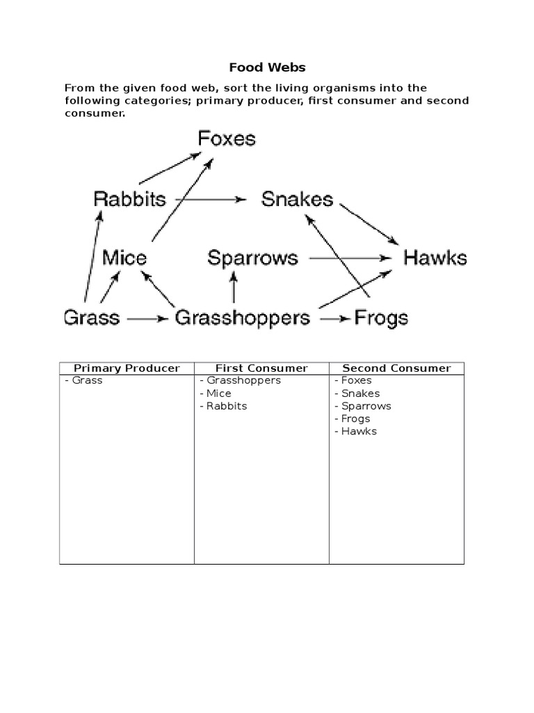 Food Webs | PDF
