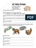 Herbivore Carnivore HW