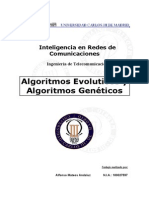 algoritmos evolutivos