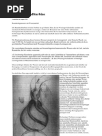 1945 - V.schauberger - Die Raumkraftturbine