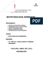 BIOTECNOLOGIA AMBIENTAL monografia