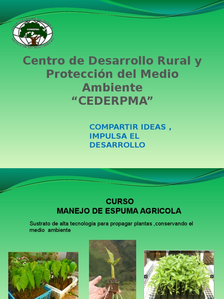 Resultado de imagen para I CURSO de Espuma Agricola PUMAHUASI