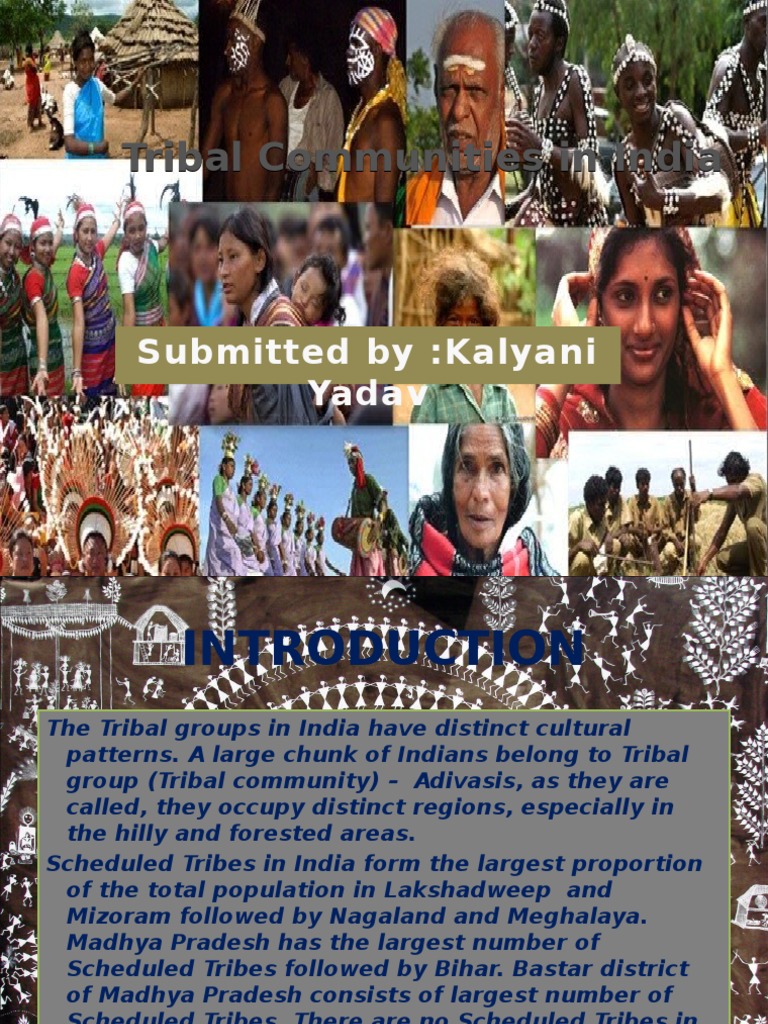 Overview of India's Tribal Communities | PDF | Demographics Of India ...