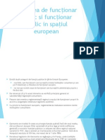 Noțiunea de Funcționar Public Si Funcționar Public in Spațiul European