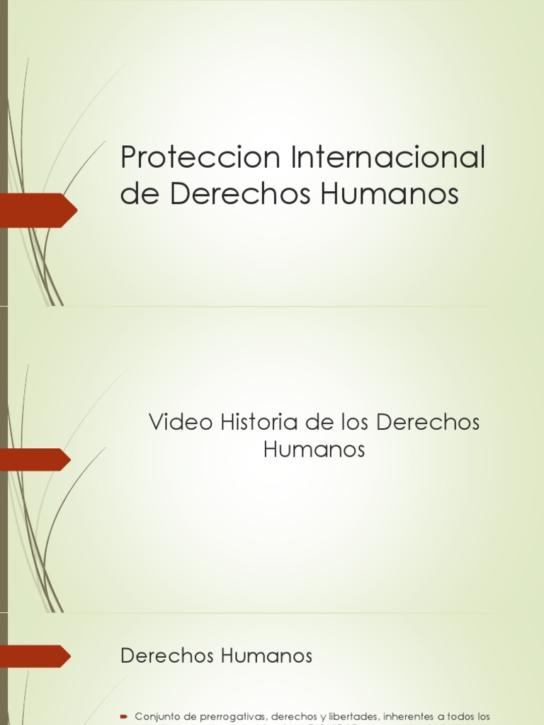 Proteccion Internacional de Derechos Humanos Final | PDF | Naciones ...