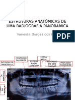 Estruturas Anatômicas de Uma Radiografia Panorâmica