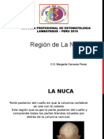 Clase 4 Region de La Nuca